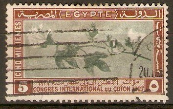 Egypt 1927 5m Int. Cotton Congress series. SG145.